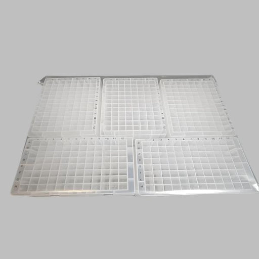 Thomas Scientific Microplate 2.2 ml Deep Well Notched PP 50 Plates Lab Consumables::Storage and Culture Plates Thermo Scientific