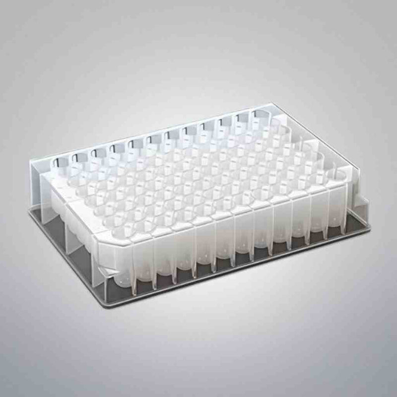 Thomas Scientific Microplate 2.2 ml Deep Well Notched PP 50 Plates Petri Dishes/Culture Plates Thermo Scientific
