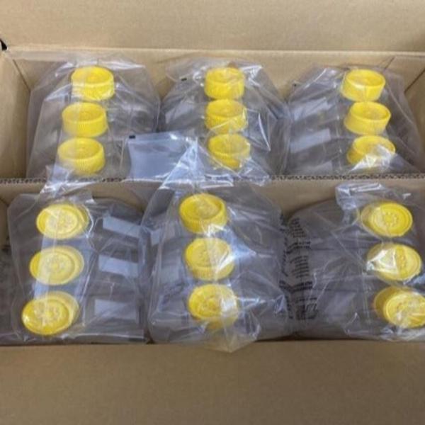 Tissue Culture Flask 150 cm2 with Filter Cap 18 Flasks Lab Consumables::Tubes, Vials, and Flasks Techno Plastic Products