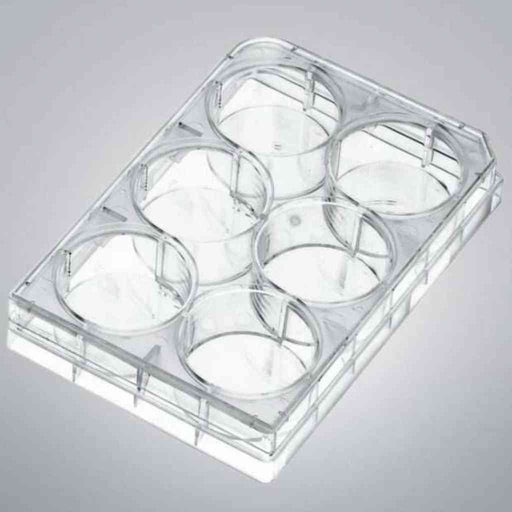 VWR Microplate 6 Well Individually Sealed 50 Plates Petri Dishes/Culture Plates VWR
