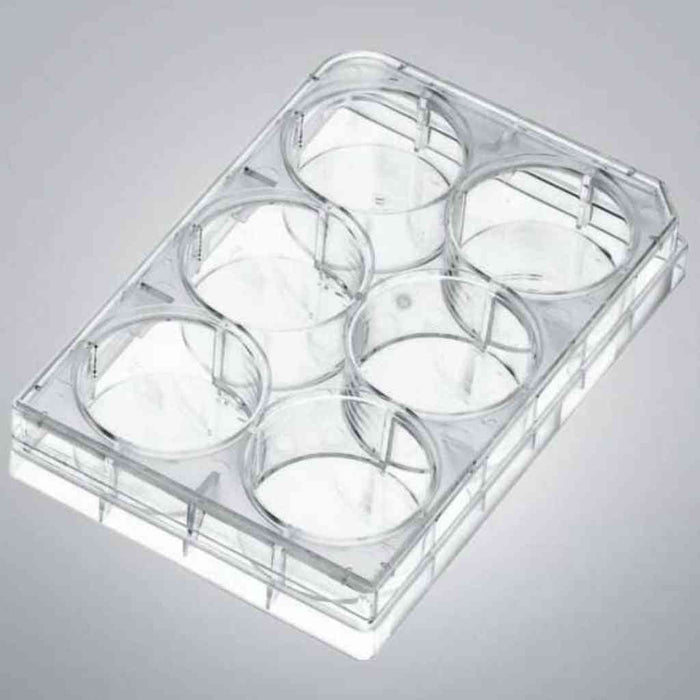 VWR Microplate 6 Well Individually Sealed 50 Plates Petri Dishes/Culture Plates VWR