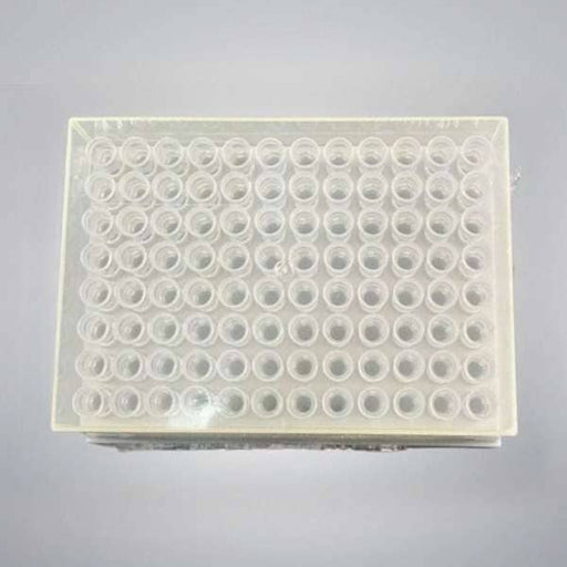 WellPro Pipette Tips 200 ul Sterile Single Rack of 96 Tips T00802 Pipettes & Pipette Tips WellPro