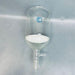 Whelan Scientific Glass 2L Buchner Filter Funnel Lower Vacuum Coarse Frit Jointed Glassware Whelan Glass